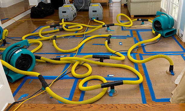 Professional Crawl Space Water Removal technician working in Castalia, OH